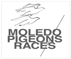 Logo Footer
